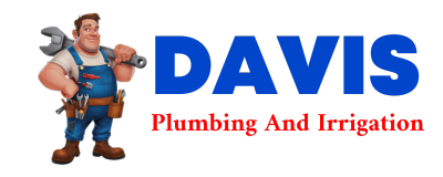 Trusted plumber in PLATINUM